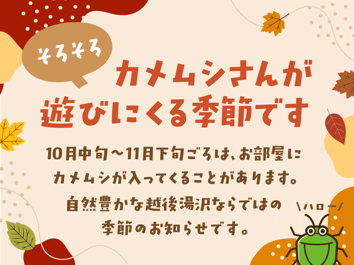 カメムシのお知らせ