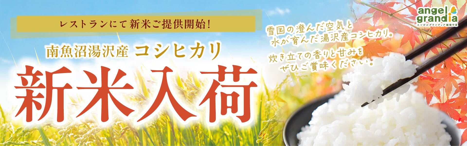 新米入荷
